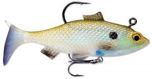 storm-gizzard-shad