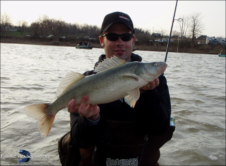 Running With Walleyes