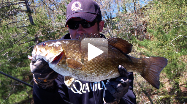 Postfrontal Smallmouth Bass