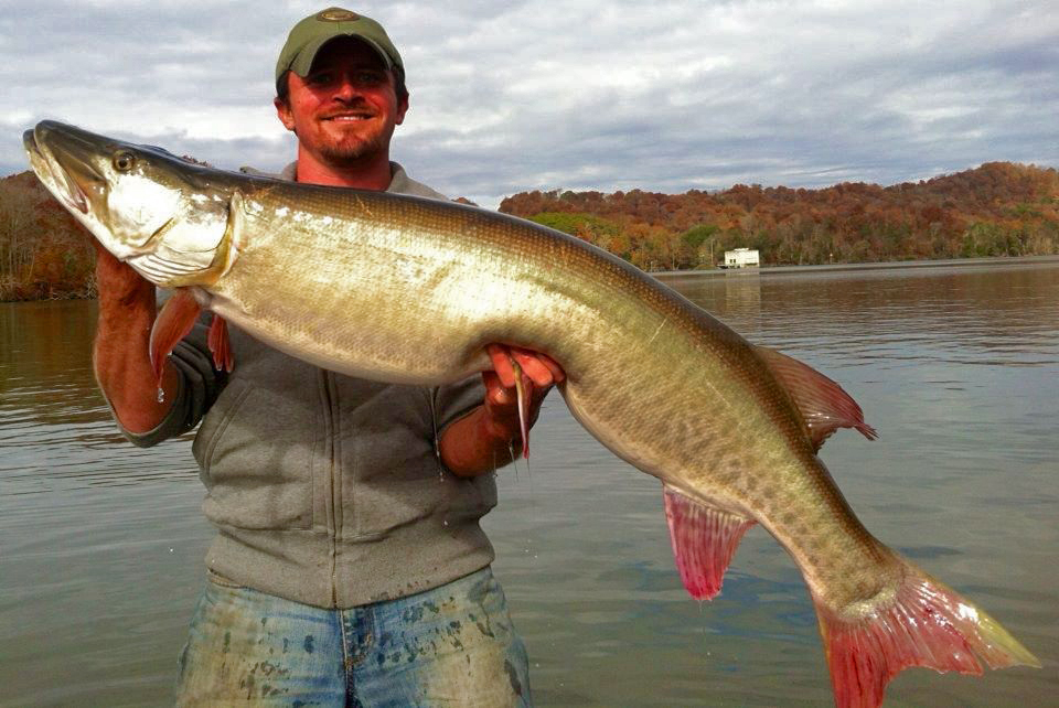 Jay S Striper Guide Service Is Now Providing Novice And Experienced Anglers Outfitter Fishing Services On Norris Lake