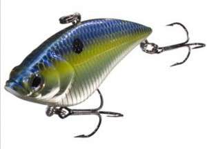 bass-pro-shops-xps-rattle-shad